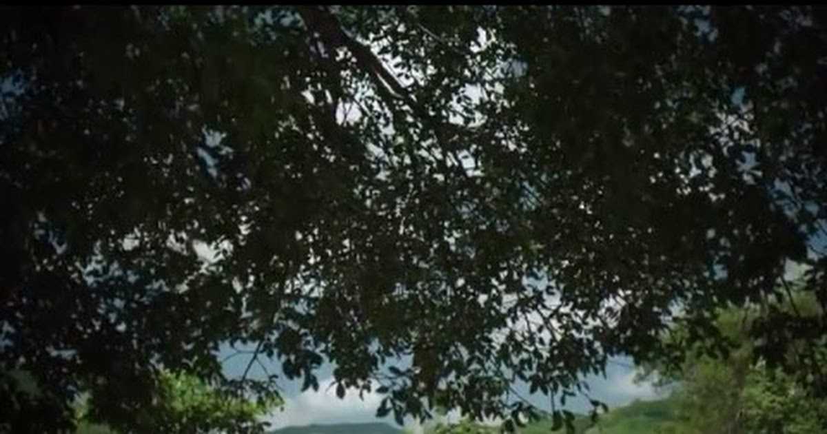 El Chapo 1.Sezon 9.Bölüm izle