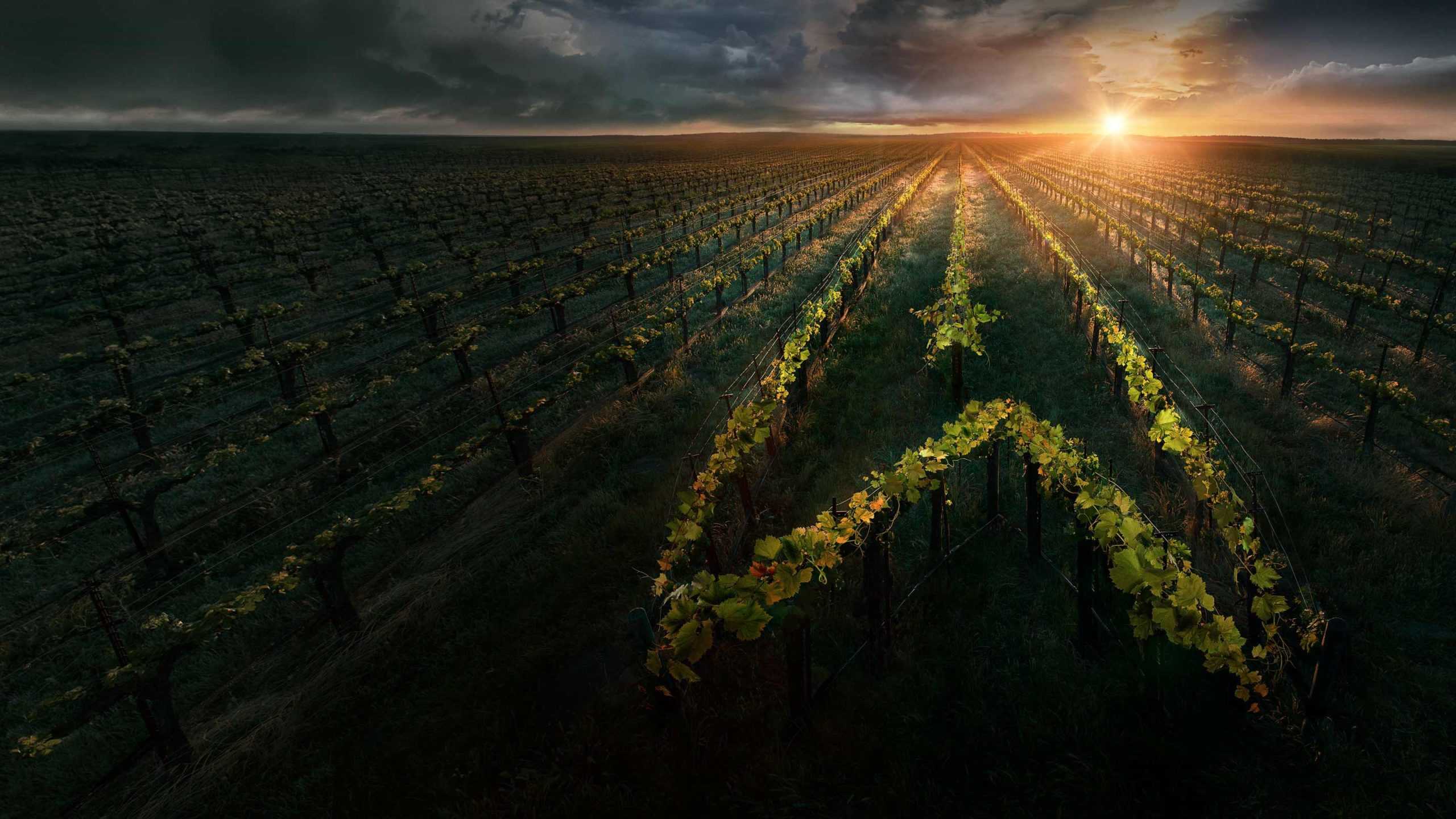Star Trek: Picard 1.Sezon 10.Bölüm izle